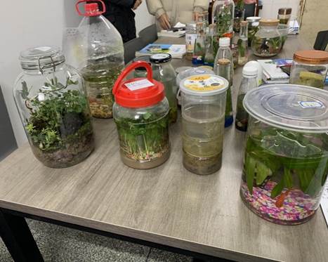 桌子上放满了不同类型的饮料
描述已自动生成