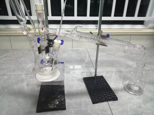 整体实验装置图